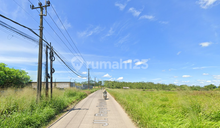 Dijual Tanah Cileles Tigaraksa Tangerang Strategis Pinggir Jalan Raya