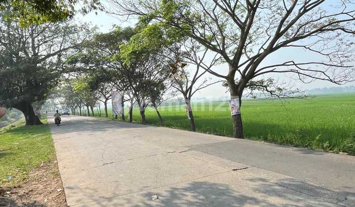 Gudang Dan Tanah 5 Hektar Mauk Kronjo Kemiri Tangerang Gudang Dan Tanah 5 Hektar Mauk Kronjo Kemiri Tangerang