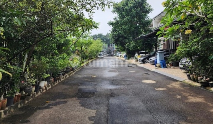 Cluster Michelia Dekat Sekolah Tarakanita Gd.serpong Cluster Michelia Dekat Sekolah Tarakanita Gd.serpong
