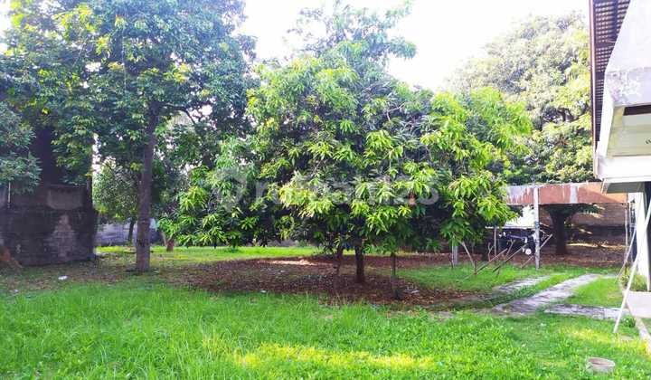 Commercial Space / Office / House in Mampang Prapatan, South Jakarta Commercial Space / Office / House in Mampang Prapatan, South Jakarta