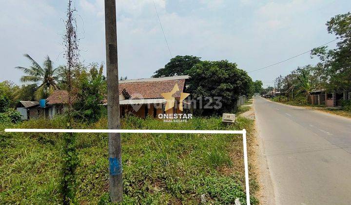 Tanah kavling Kragilan Serang 1820 m². Dekat Pintu Tol Ciujung 2