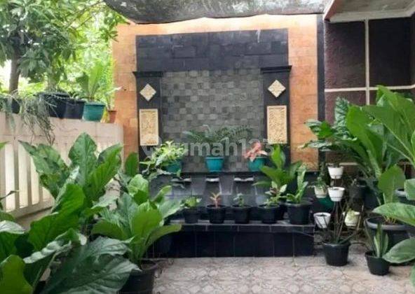 Rumah Nyaman Graha Raya Anggrek Loka. SHM. Ada kolam koi 2