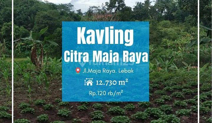 Tanah Murah Citra Maja Raya Lebak Banten. 12730 m² SHM 1