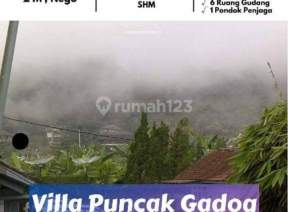 Villa Puncak Gadog Pacet 1232m.
Dekat Simpang Raya. Nyaman & Asri 1