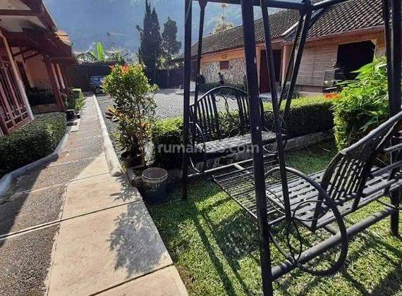 Villa Puncak Gadog Pacet 1232m.
Dekat Simpang Raya. Nyaman & Asri 2