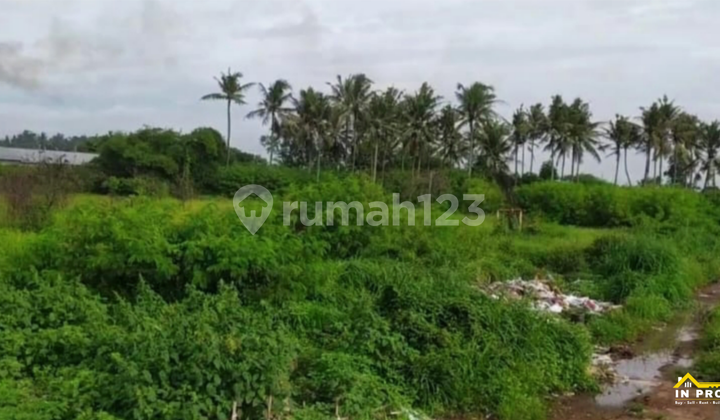 Ciruas Serang Tangerang Industrial Estate