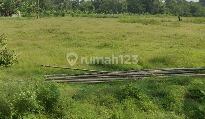 Tanah Cikeusal Termurah. Lahan Padat Siap Bangun