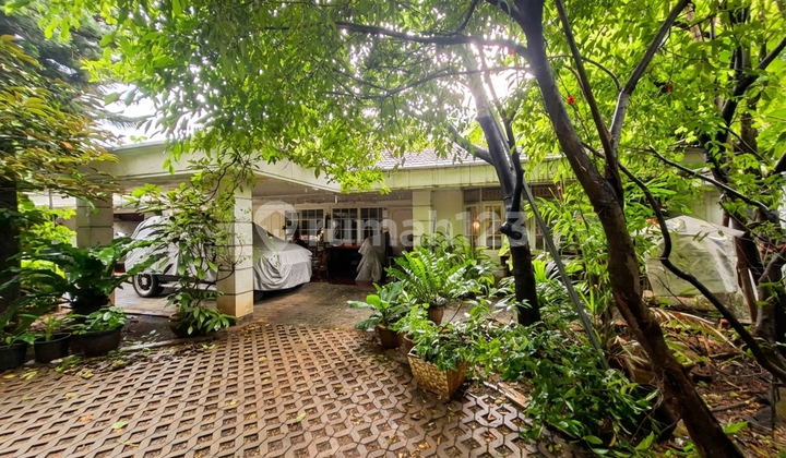 Rumah Kawasan Segitiga Emas Jakarta Selatan, Harga di Bawah NJOP