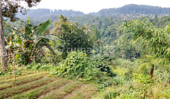 Tanah Situ.gunung.sukabumi di Jl. Kadudampit No. 1, Kadudampit, Kadudampit, Sukabumi, Jawa Barat, Indonesia, 43153, Kota Sukabumi