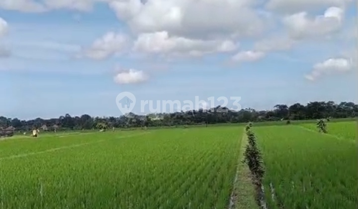 Land for Sale 46are Nyitdah