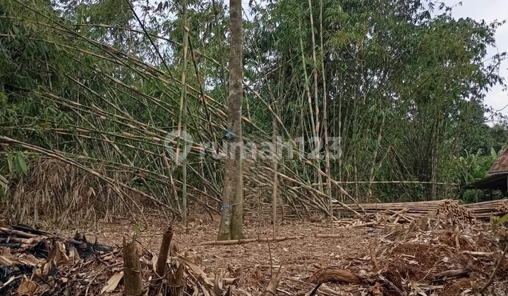 Dijual Tanah di Serang Cibarusah Luas Tanah 1.965m2, Cocok untuk Gudang atau Workshop harga 2 Juta permeter, 3,7 KM dari Pasar Cibarusah, 13 KM dari Tol Burangkeng, Serang Baru, Cikarang Bekasi Dijual Tanah di Serang Cibarusah Luas Tanah 1.965m2, Cocok untuk Gudang atau Workshop harga 2 Juta permeter, 3,7 KM dari Pasar Cibarusah, 13 KM dari Tol Burangkeng, Serang Baru, Cikarang Bekasi