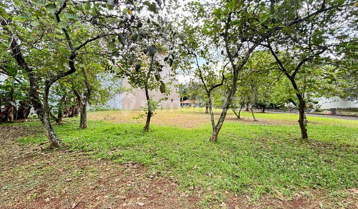 Dijual Kavling Celebration Town View Sungai Dan Mall Luas 255 M² Keamanan 24 Jam Bebas Banjir Akses Langsung Tol Grand Wisata Bekasi Dijual Kavling Celebration Town View Sungai Dan Mall Luas 255 M² Keamanan 24 Jam Bebas Banjir Akses Langsung Tol Grand Wisata Bekasi