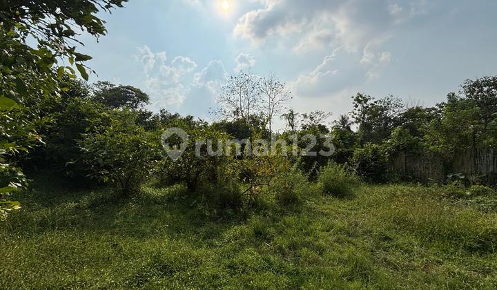 Dijual Tanah Perkebunan Jambu air di Cibarusah Luas 4.200 bisa digunakan sebagai perumahan, workshop, restoran, tempat wisata di Kampung Gempol Ridogalih Cibarusah, Cikarang Bekasi