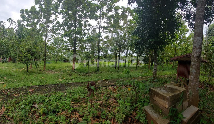 Land for Sale in Setu, Area 4000M2, Only 1.6Km from Setu Burangkeng Toll and 3Km from Setu Utara Toll, Bekasi.