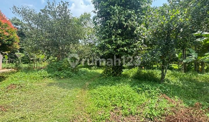 Land for Sale on Jalan Cisaat, 10,000M2 Area, SHM, Kertarahayu Setu Bekasi