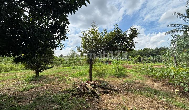 Land for Rent on Cimuning Main Road, 10,000m2, suitable for Warehouse or Workshop, 5 KM from Burangkeng Toll Road, Cimuning Bekasi.