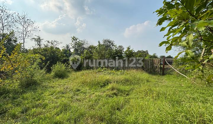 Dijual Tanah Perkebunan Jambu air di Cibarusah Luas 4.200 bisa digunakan sebagai perumahan, workshop, restoran, tempat wisata di Kampung Gempol Ridogalih Cibarusah, Cikarang Bekasi