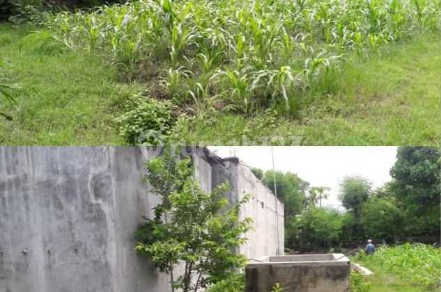 Dijual Tanah & Bangunan Sarang Walet di Sanggalangit, Singaraja