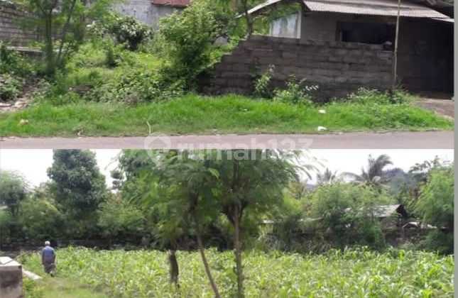 Dijual Tanah & Bangunan Sarang Walet di Sanggalangit, Singaraja