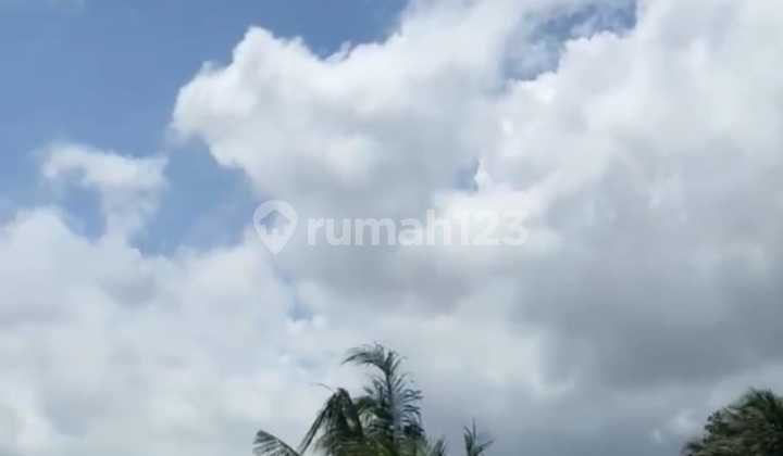 Land For Sale Location Antosari Selemadeg, Tabanan, Bali Land For Sale Location Antosari Selemadeg, Tabanan, Bali