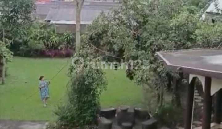 Villa Langka di Bedugul - Jalan Kaki ke Kebun Raya & Danau Beratan 2