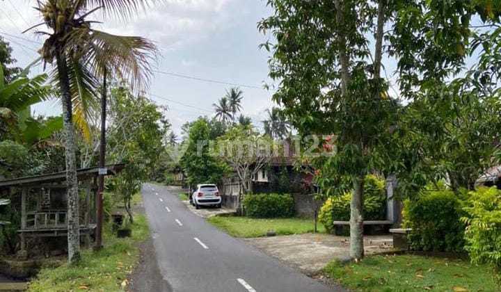 Dijual Tanah Murah Di Tabanan Zona Kuning Dijual Tanah Murah Di Tabanan Zona Kuning