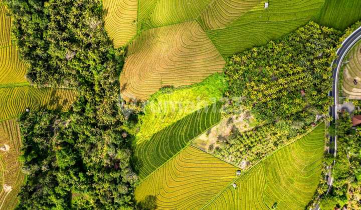 Tanah Dijual Murah Tabanan - Dekat Pantai Soka