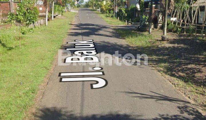 DIJUAL TANAH DI BALUK 2 KM DARI JALAN BYPASS GILIMANUK 2