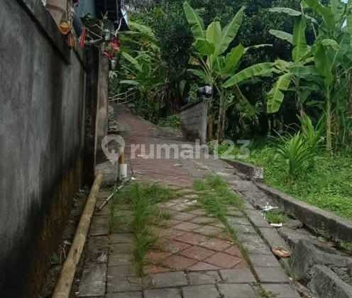 Land For Sale Dalung, Badung, Bali Land For Sale Dalung, Badung, Bali