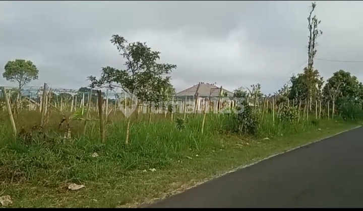 For Rent: Large Land by the Road in Bangli – Belanga Village