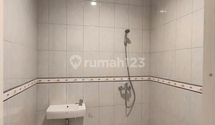 New House Sunter Garden 8.75x15 North Facing 2