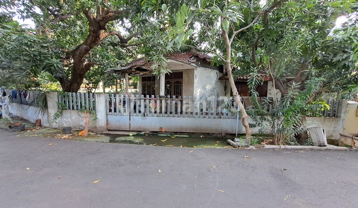 Dibawah Njop Taman Nyiur Sunter 216m² Hadap Timur Selatan Dibawah Njop Taman Nyiur Sunter 216m² Hadap Timur Selatan