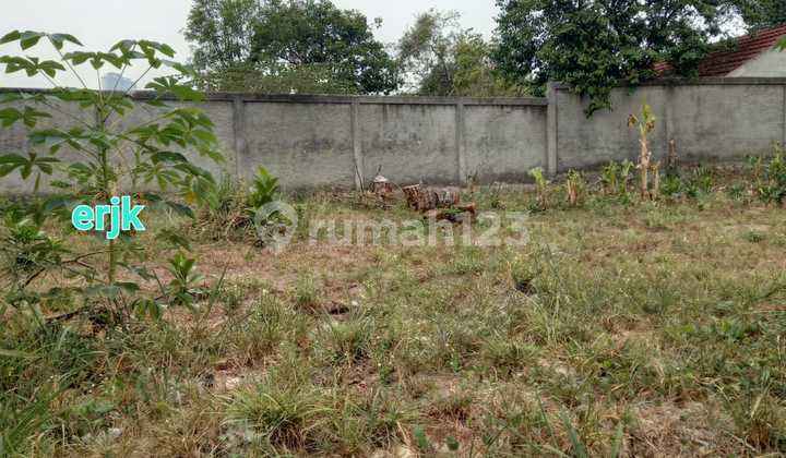 Tanah Murah Cocok Untuk Investasi di Sektor 5 Bintaro Jaya Tangerang Selatan