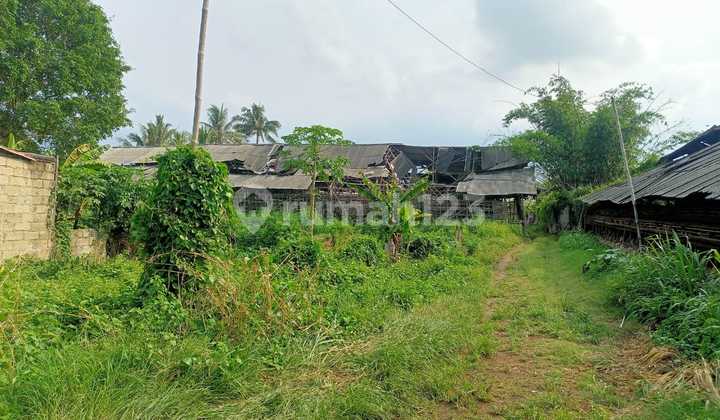 Tanah Murah Prospek Luas 32000mtr Di Tangerang Good Investment Tanah Murah Prospek Luas 32000mtr Di Tangerang Good Investment