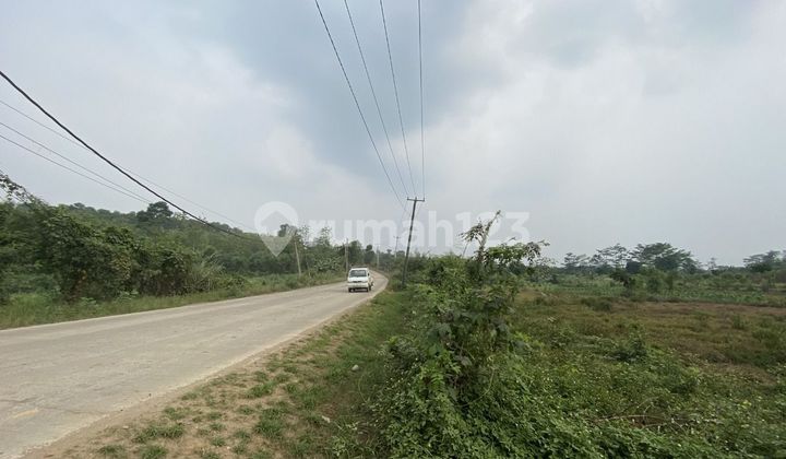 Kavling Termurah Dipinggir Jalan Tanah Datar Siap Bangun di Parung Panjang Kavling Termurah Dipinggir Jalan Tanah Datar Siap Bangun di Parung Panjang