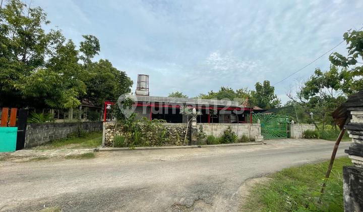 Rumah Plus Lahan Perkebunan yang Sdh Berjalan di Semanu Gunung Kidul Rumah Plus Lahan Perkebunan yang Sdh Berjalan di Semanu Gunung Kidul