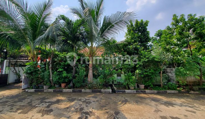 For sale quick spacious strategic cheap house in Pangkalan Jati Cinere For sale quick spacious strategic cheap house in Pangkalan Jati Cinere