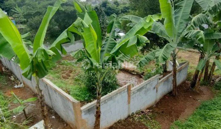 Tanah Luas Cicadas Bonus Rumah Full Furnish 30 Menit Stasiun Bogor