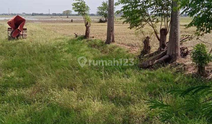 Tanah Darat Murah Strategis Dekat Tol Gabus 2