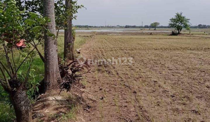 Tanah Darat Murah Strategis Dekat Tol Gabus 2