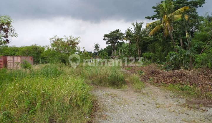 Jual Murah Tanah Lelang Narogong Bekasi Jual Murah Tanah Lelang Narogong Bekasi