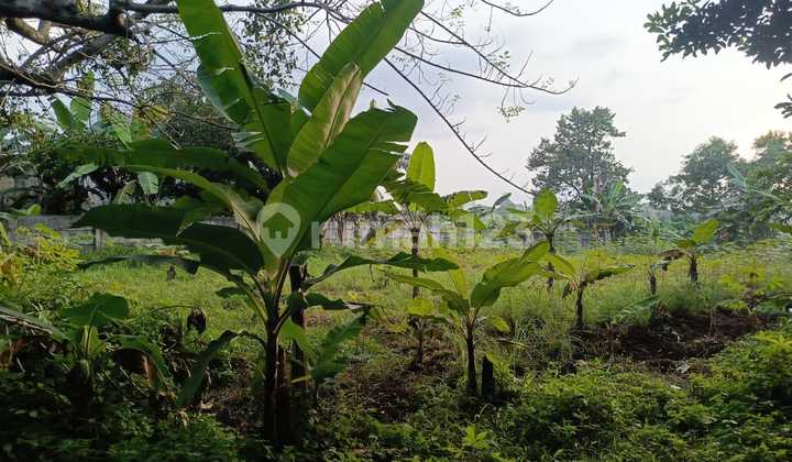Tanah Harga di Bawah NJOP Tanah Harga di Bawah NJOP