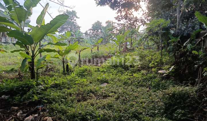 Tanah Harga di Bawah NJOP Tanah Harga di Bawah NJOP