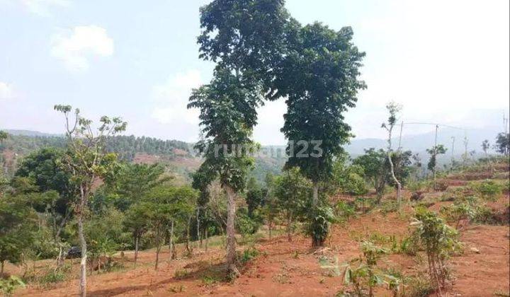 Dijual Kavling 10,000 M2 di Desa Cikereo Selatan, Sumedang 1