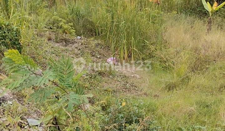 For rent 2.5 Ha of land on Jatake main road, BSD.