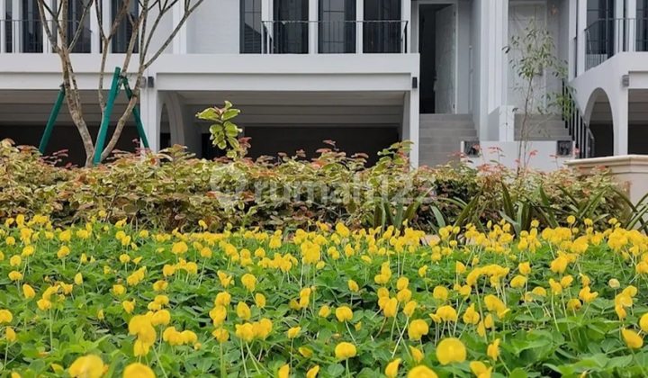 Jual Rugi Rumah Siap Huni Cluster Aether Greenwich Bsd City 2