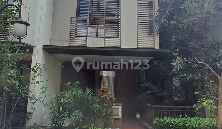 Disewakan Rumah 3 Lantai Cluster Whelford Bsd Disewakan Rumah 3 Lantai Cluster Whelford Bsd