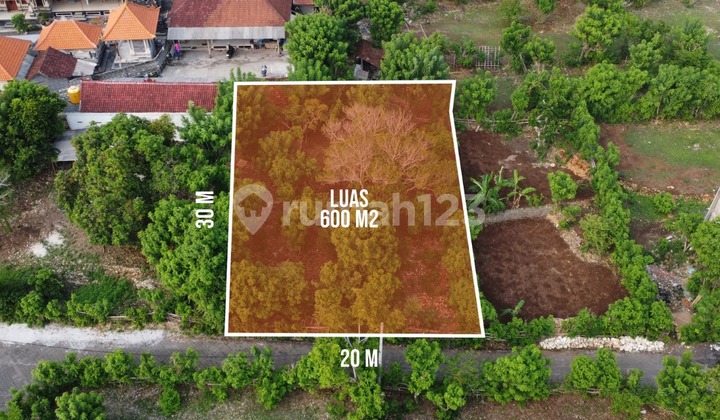 Tanah dengan pemandangan laut