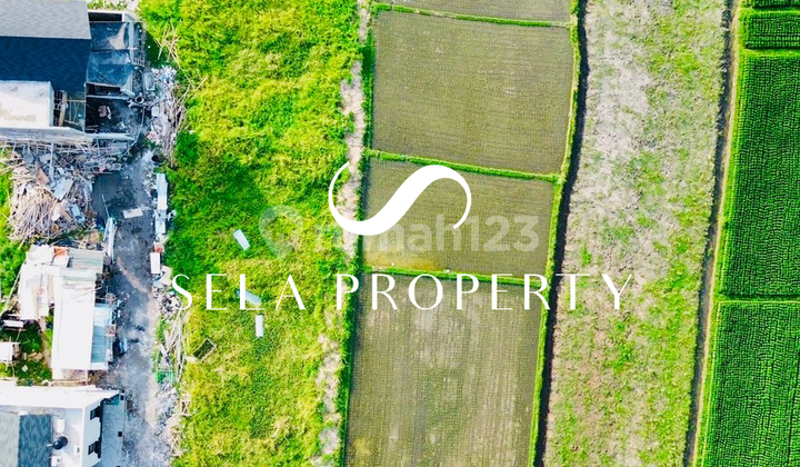 Tanah Premium di Kedungu Tanah Premium di Kedungu