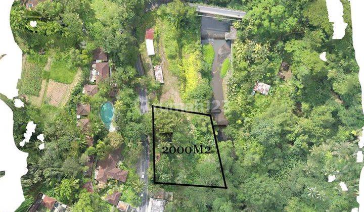 For Sale Investable Land In Keliki Ubud 1